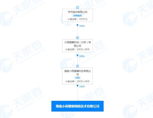 海南小荷健康網絡技術有限公司成立，布局遠程健康管理及網絡文化服務